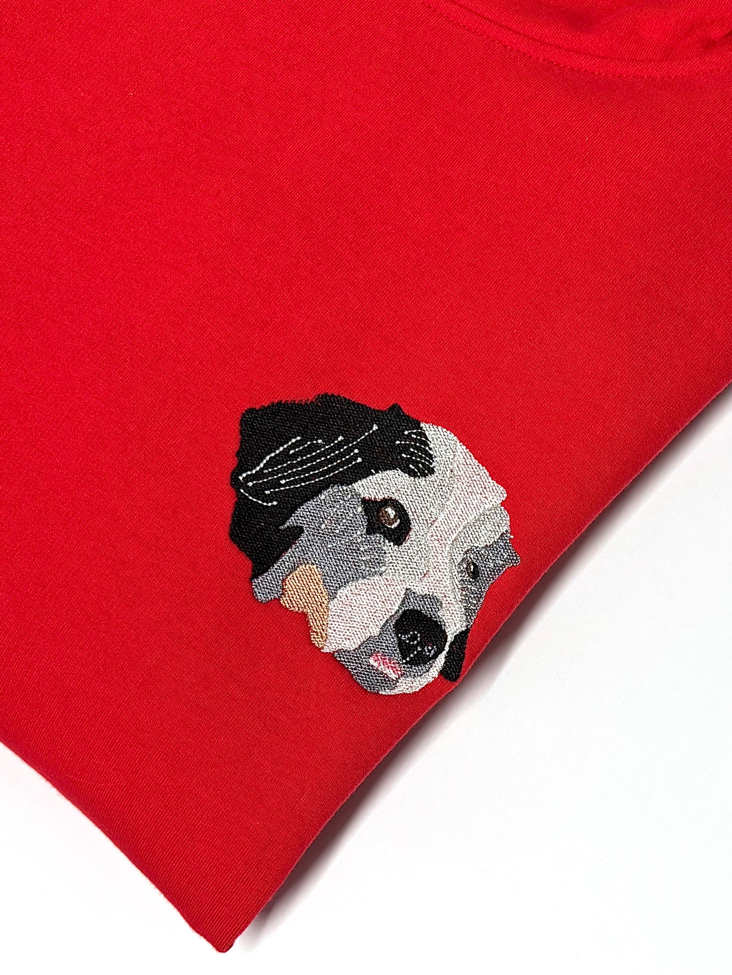 Fotografia preenchida - Frente